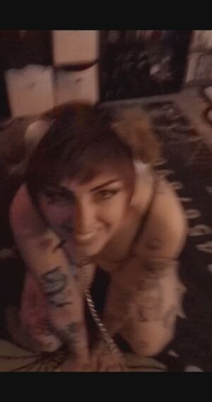 Petgirls Breeding Doggystyle PetPlay