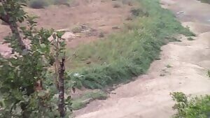 Wild dogs shredding an Impala ....to shreds