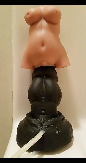 Nova, being a breeder.