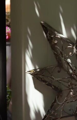 Meghan Falcone in Californication