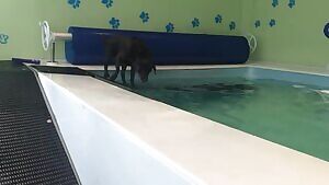 I keep getting told to post here, what do you think