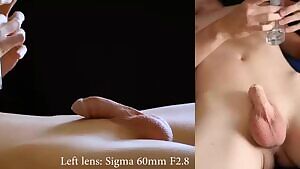 The phases of male, from soft to throbbing