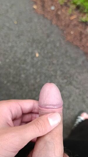 Real Cock Balls Flashing Jerk Off