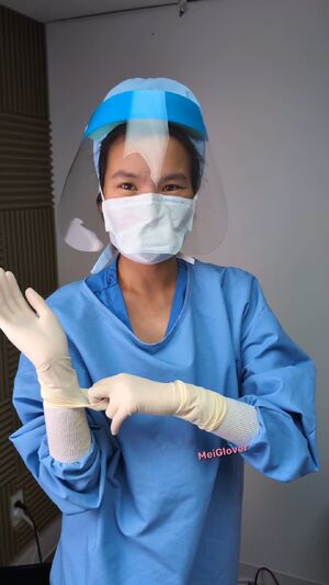 MedFet Latex Gloves Medical