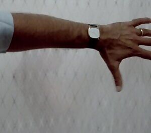 Beverly D'Angelo's milf tits in 