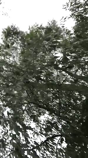 The County Worker Definitely Saw Me...