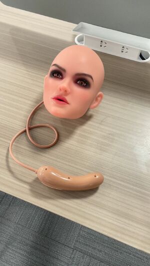 Realistic Love Dolls Doll Robot
