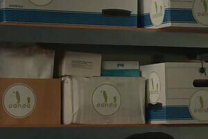 Alexandra Daddario GIF