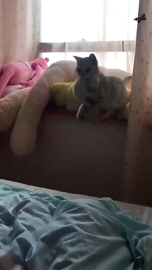 Me hiding subs from the cruel world to keep them happy and safe.