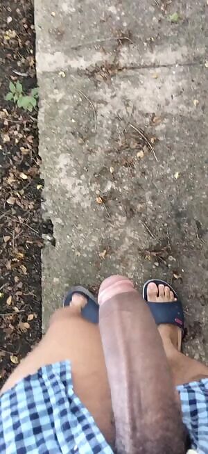 Taking a nice slow walk down my sidewalk