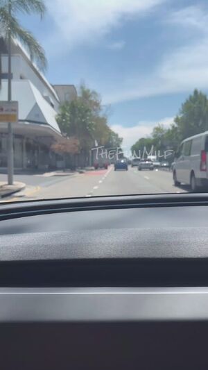 I’m the best passenger princess [GIF]