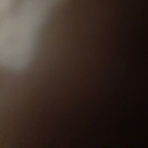 Beautiful Bussy Anal Big Ass Dildo