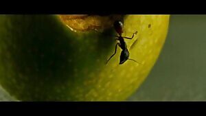 Matilda Lutz giving a peek of the plots in Revenge