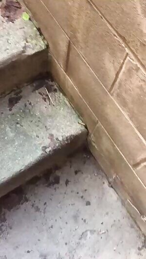 First cumshot video - been told I shoot a big load