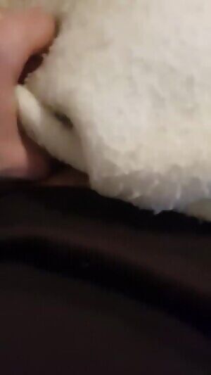 ps welcome . what do you think ?