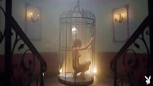 I know why the caged bird sings, 