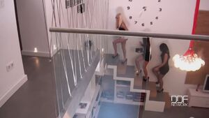 Anina Silk, Candee Licious, Virginie Velvet - Feeding The Birds: Big Cock Feeds Voracious Lush Lesbians