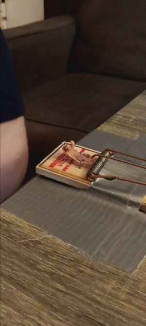 XTREME GUSSETS CBT Pain Small Cock