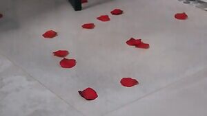 Love Is Blindfolded - Desiree Dulce, Gianna Dior