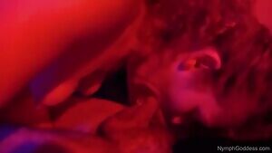 Swallow in red light