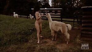 Madison and an alpaca