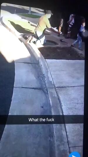 planting seeds for the new generation of apocalyptic sewer mutants