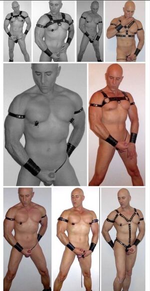 Hot Guys Gay Leather Muscles