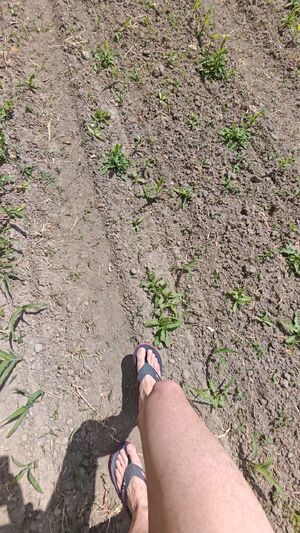 Outdoor Showcase Amateur Cock Hiking Naked