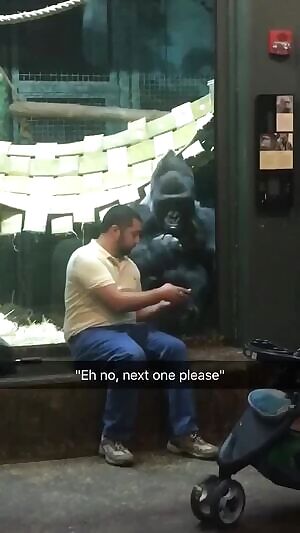 George Zimmerman and Travon Martin puts aside their differences and become friends.