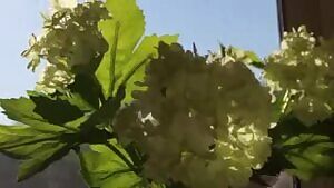 Tiny teen rides huge 10 inch dildo