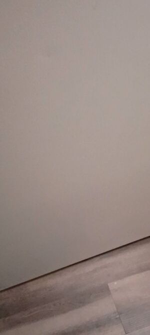 Amateur Ass Big Dick Cumshot OnlyFans