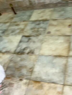 StandingPOV Amateur Asian Ass Blonde