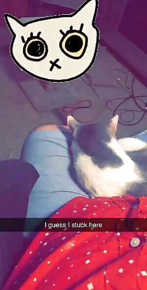 I though y’all would find this cute. Listen :3