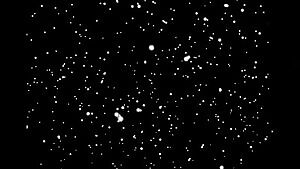 Does anyone know when the new Nicola Peltz sex dolls will be for sale?