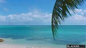 Blacked - No more waiting