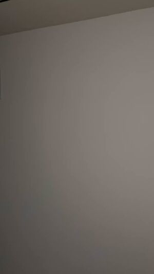 Real Couples Amateur Homemade Pussy