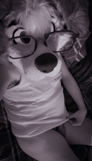 Fursuit Sex Amateur Cock Cute Furry