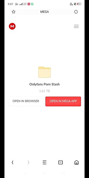 Mega Free Porn