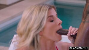 MILF BBC Blowjobs Blacked Blonde Blowjob