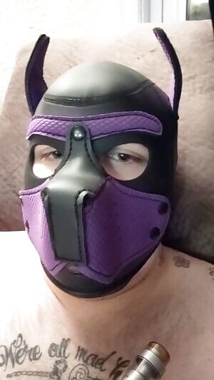 I'm a bad pup ;)