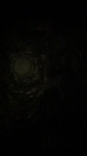 Slut milf loves sucking dick