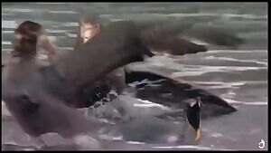 Giant Petrels fighting over a King Penguin