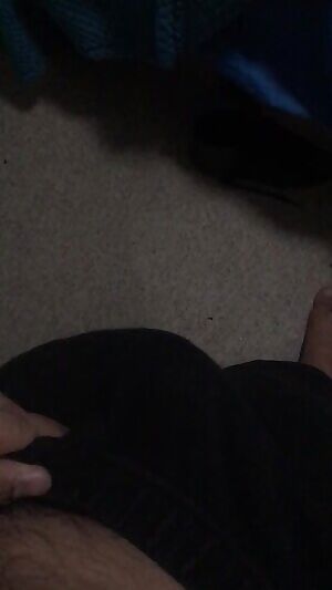 Letting him out during a study break