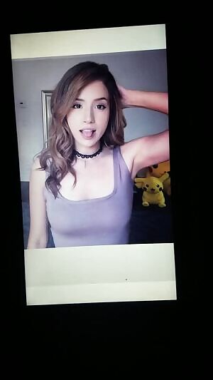 Pokimane was asking for it