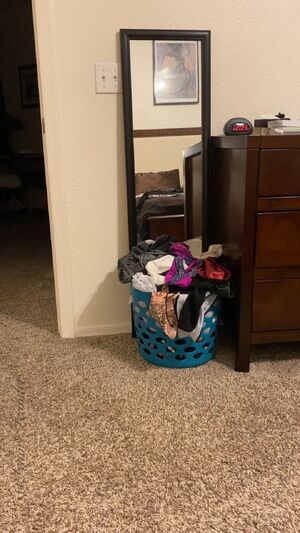 Pantyboys Goddess Laundry Room OnlyFans Panties
