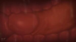 Charizard take care of Braixen