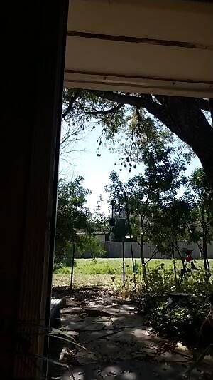 Ok... coast is clear 😊 f/37