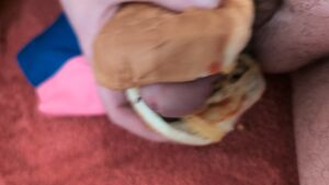 Food Play Circumcised Cum Male Masturbation