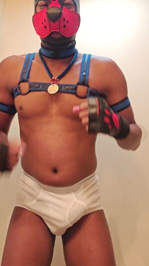 Pup Community Bulge Puppy Underwear