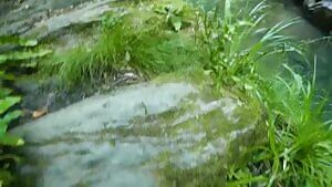 Secret Threesome Sex Outdoors